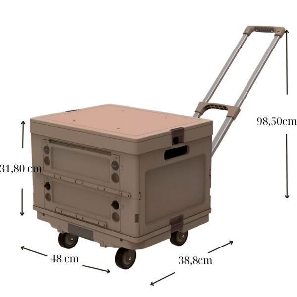 54 cm 1